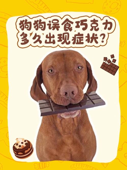 狗狗巧克力中毒